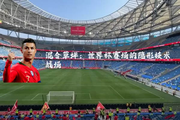 混合草坪：世界杯赛场的隐形技术战场