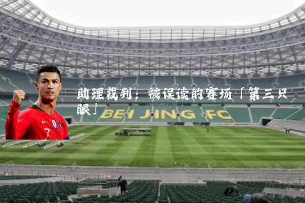 助理裁判:被误读的赛场「第三只眼」